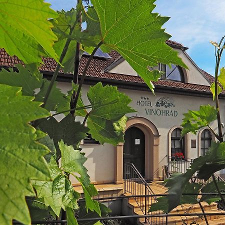 Hotel Vinohrad Milotice Luaran gambar