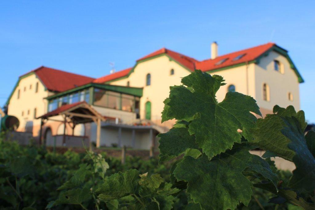 Hotel Vinohrad Milotice Luaran gambar
