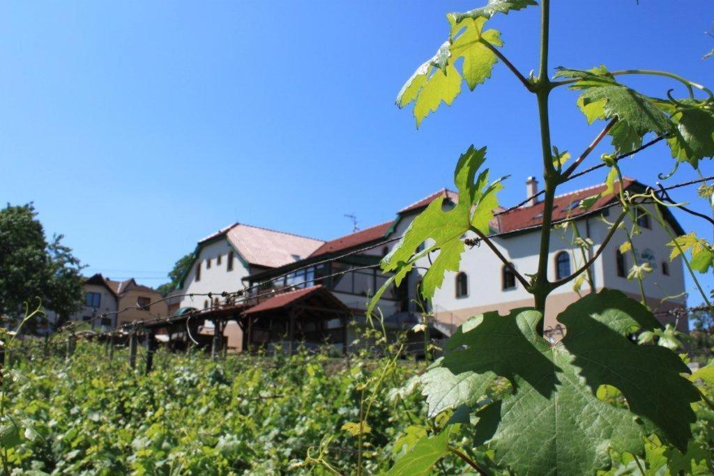 Hotel Vinohrad Milotice Luaran gambar